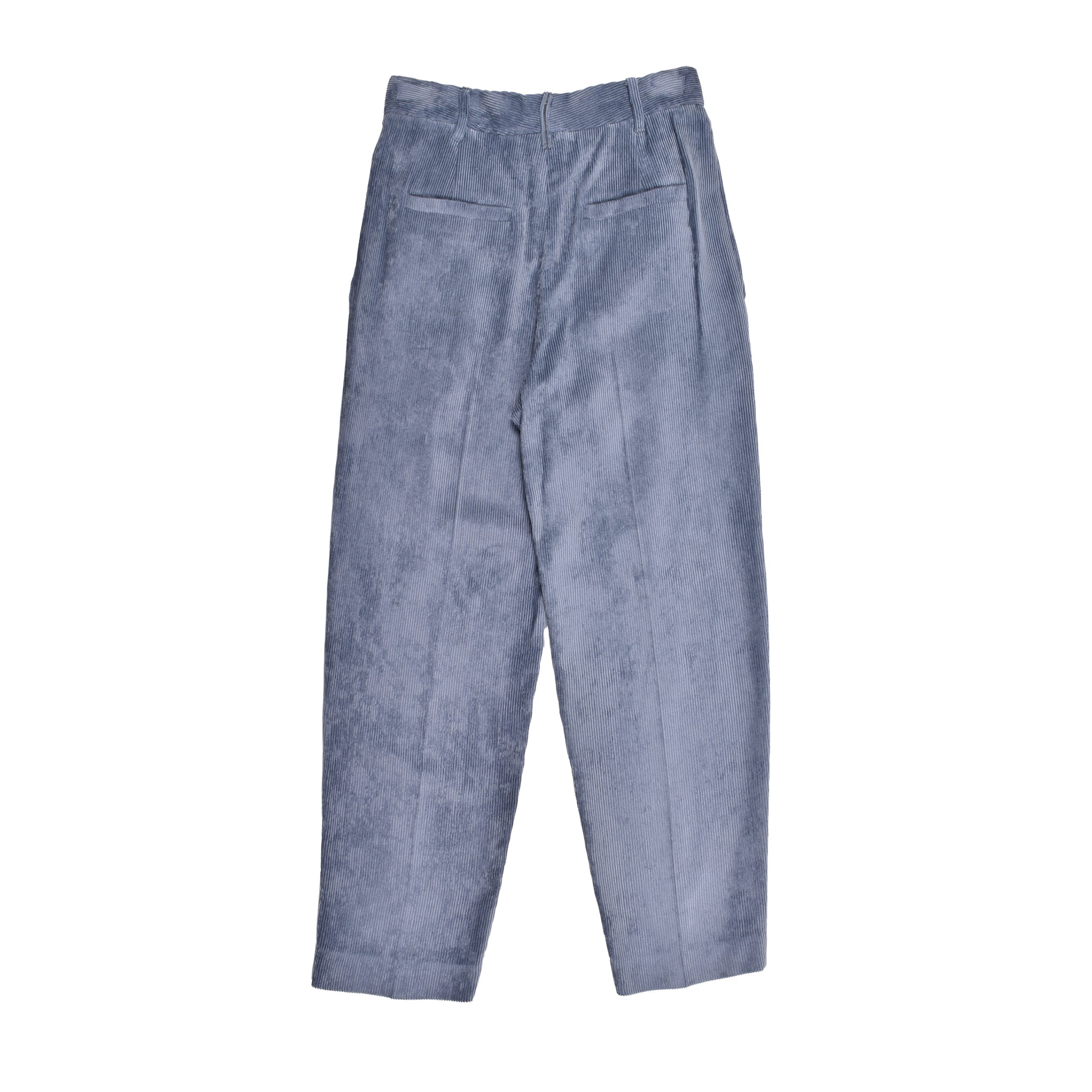 Blue Viscose Casual Pants