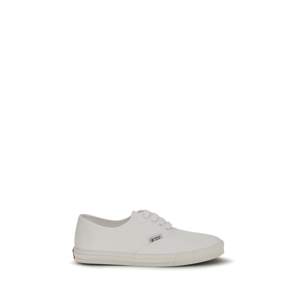 White Cotton Low Top Sneakers