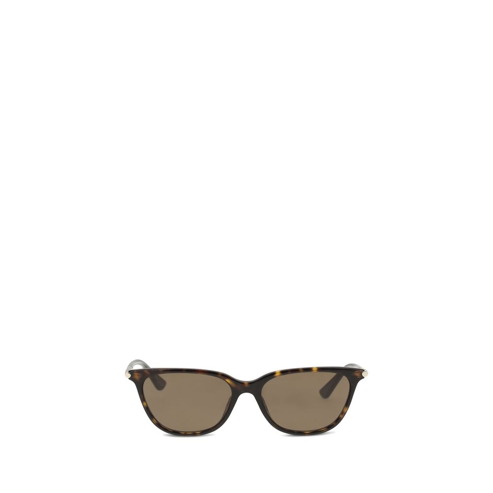 Brown Acetate Sunglasses