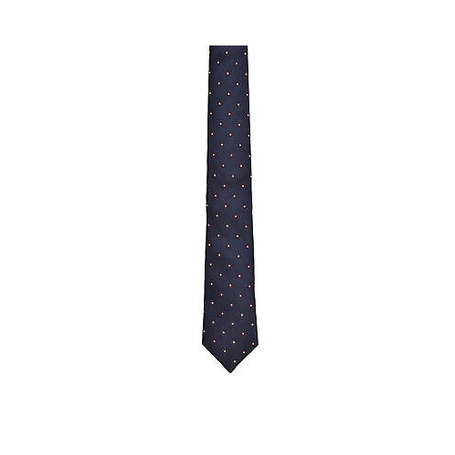 Blue Silk Tie