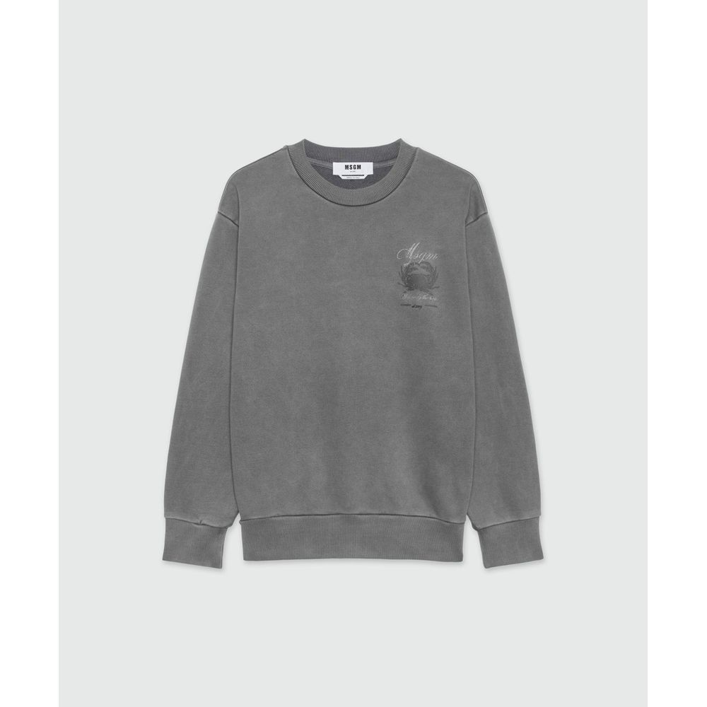 Gray Cotton Sweatshirt