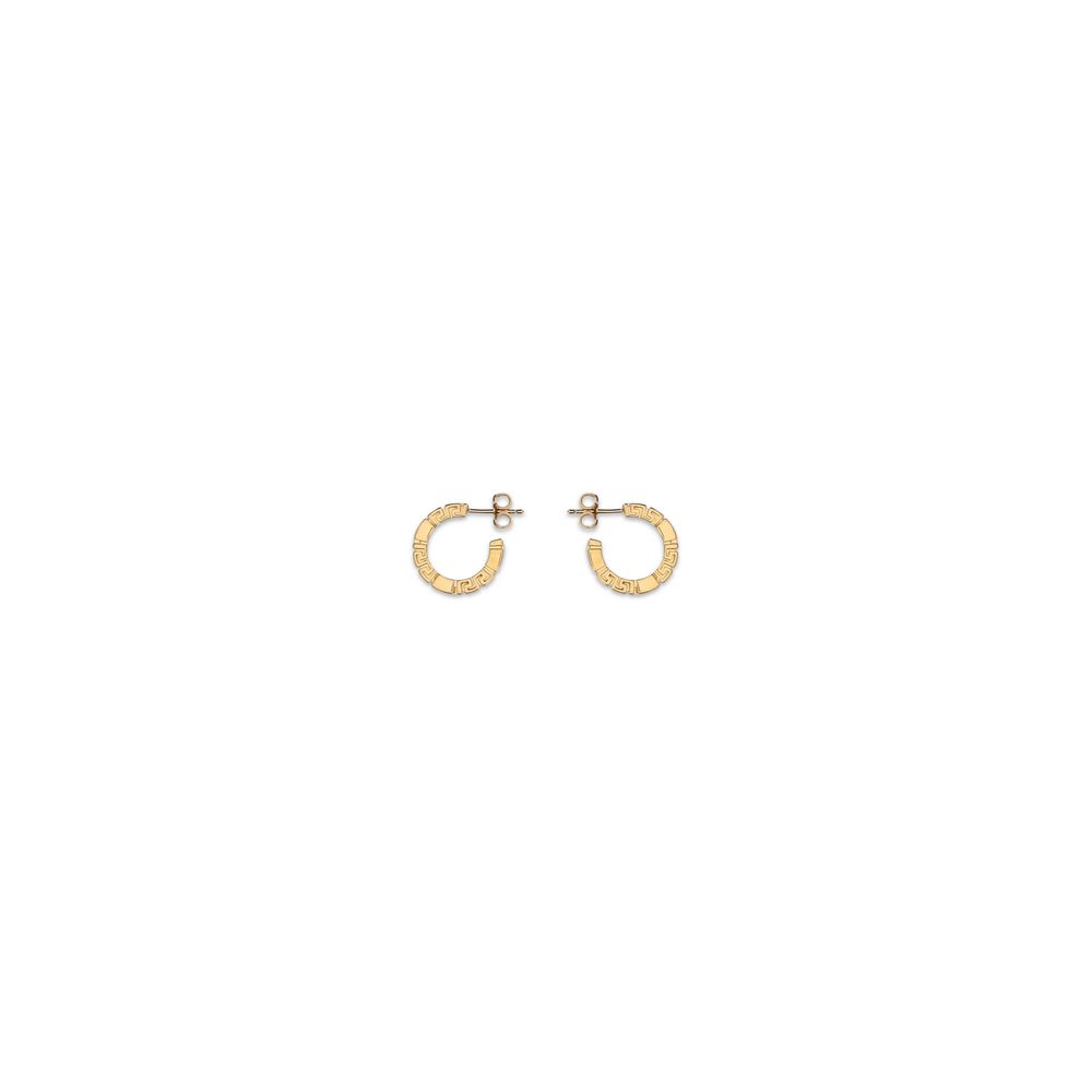 Gold Brass Earrings