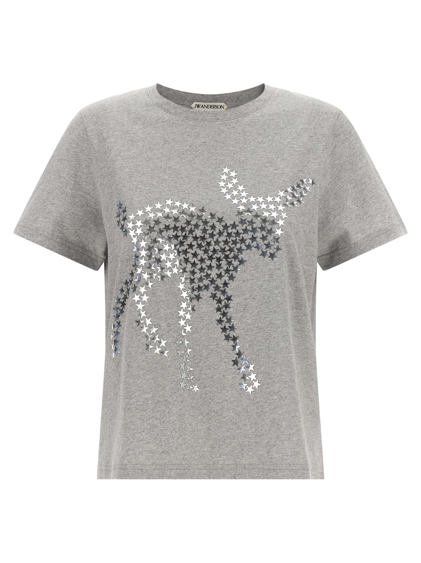 Gray Cotton T-Shirt