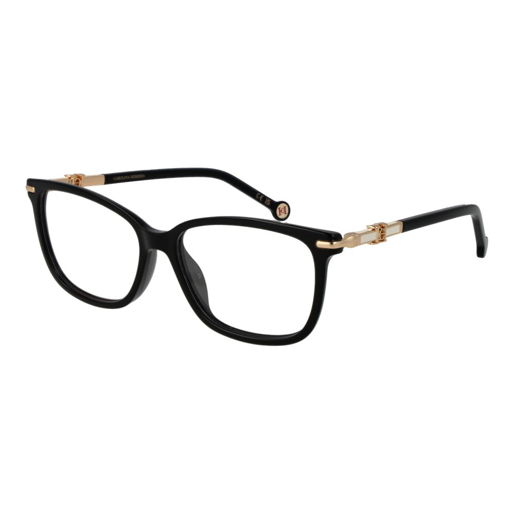 Black Acetate Glasses (Frames)