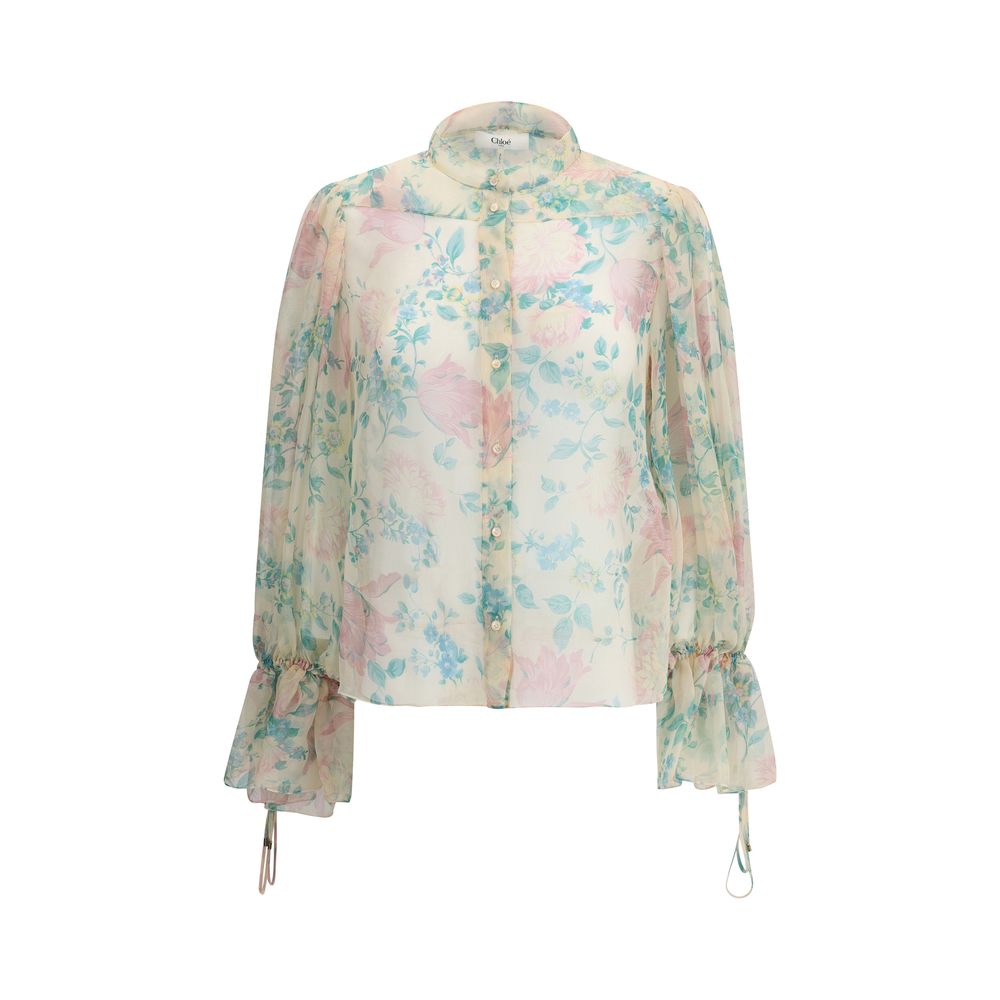 Sheer Blouse