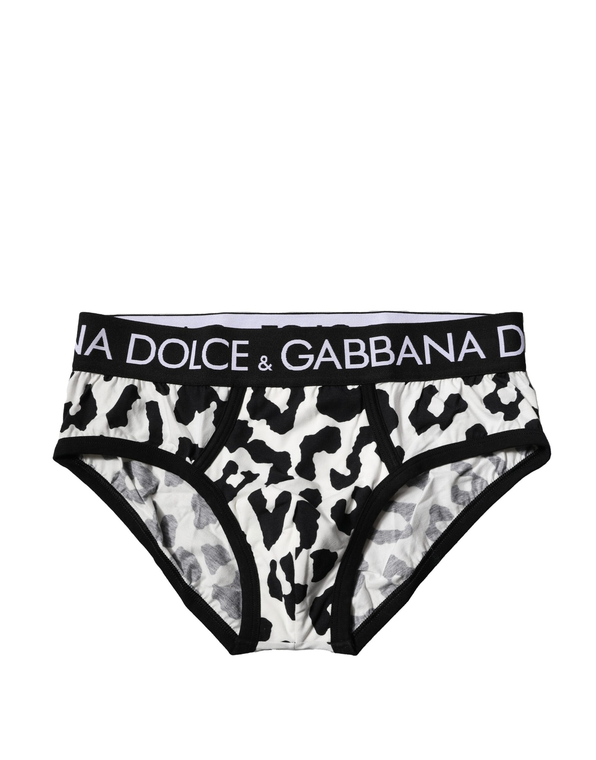 【関税＆送料込み】Dolce & Gabbana Animal Print Briefs Leopard-print swim briefs in Animal Print for Men