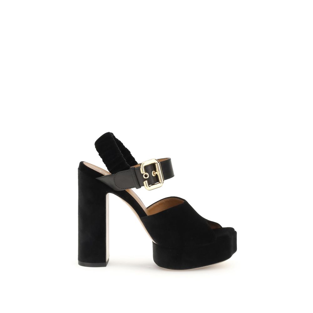 Aria Pumps