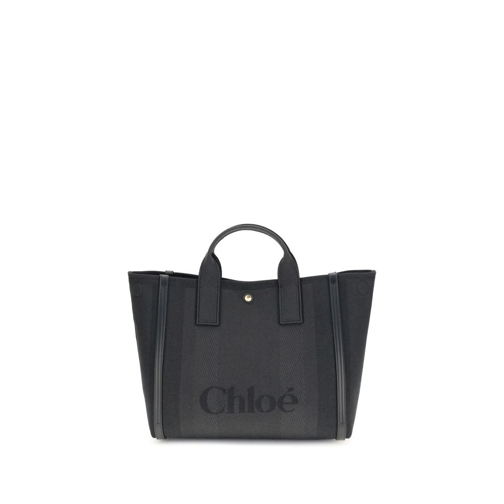 Carry Handbag