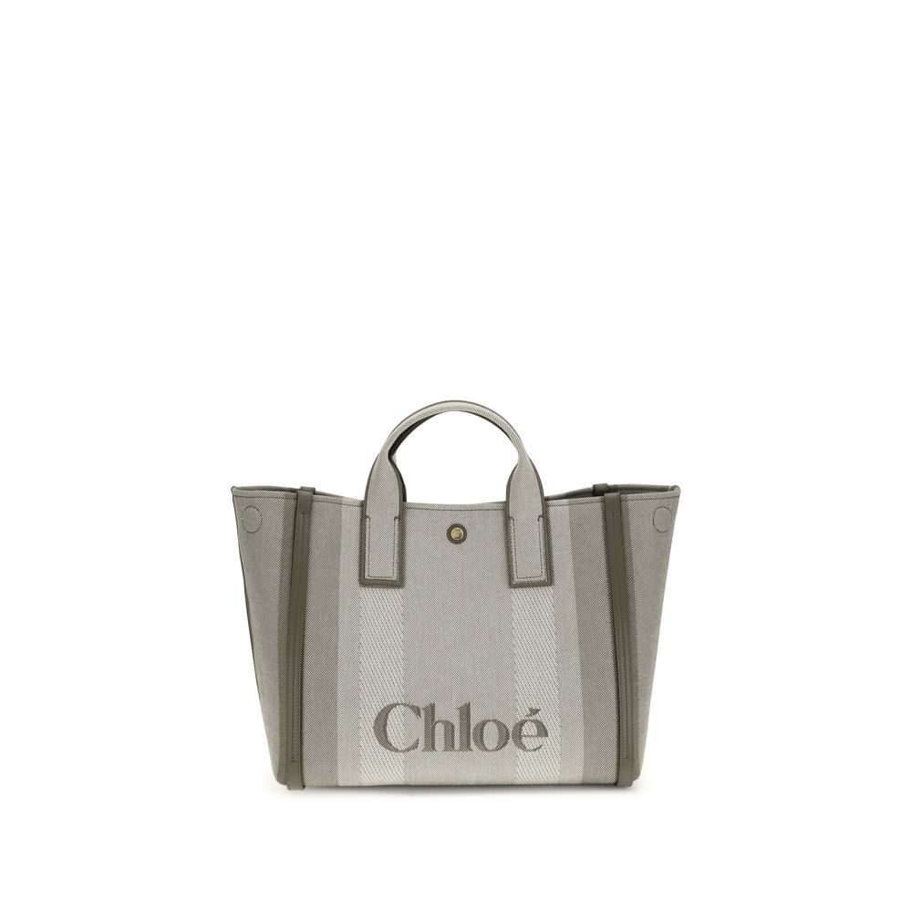 Carry Handbag